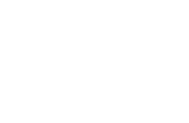 csh logo-02