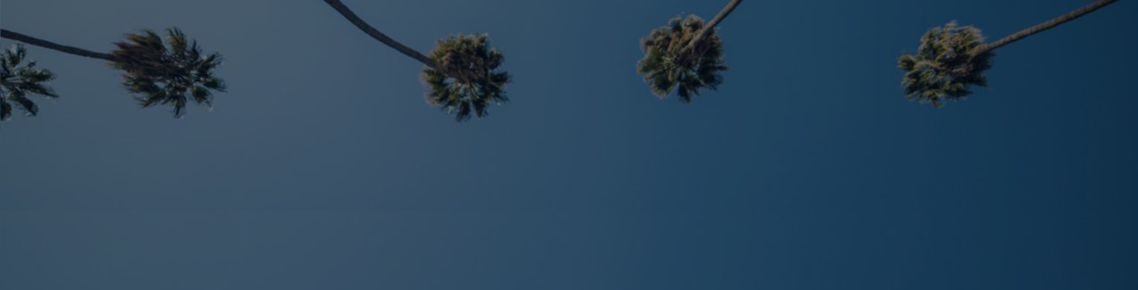 palm-image2